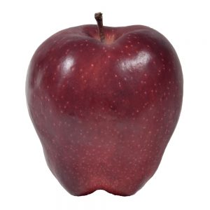 Red Delicious Apple Tote | Raw Item