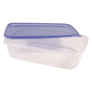 Extra Large Rectangular Containers with Lids | Raw Item