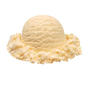 Vanilla Bean Ice Cream | Raw Item