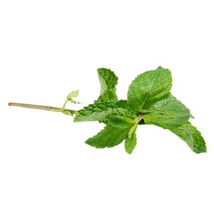 Mint Leaves | Raw Item