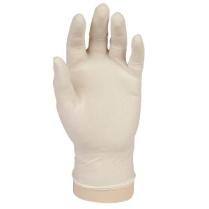 X-Large Powder-Free Latex Gloves | Raw Item