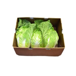 Cabbage Napa | Packaged
