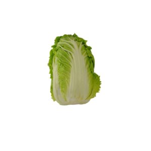 Cabbage Napa | Raw Item