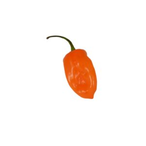Peppers Habanero | Raw Item