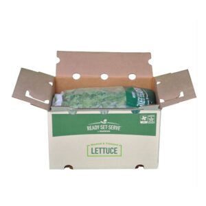 Green Leaf Lettuce | Packaged